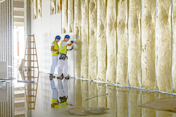 Types of Insulation We Offer in Linntown, PA